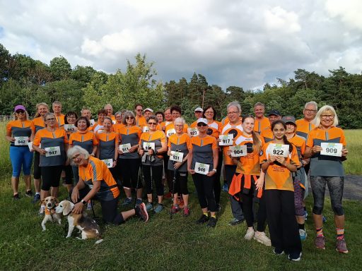 Tag des Laufens am 3. Juni 2026