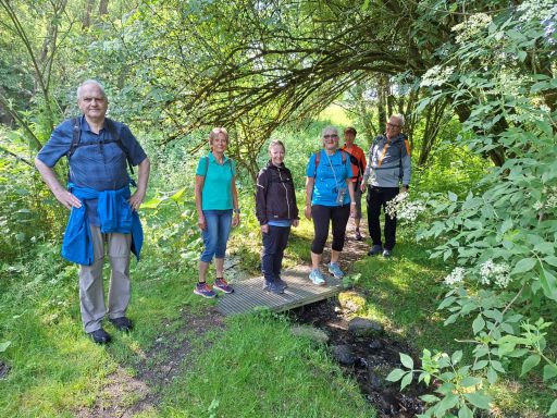 Weitwanderung