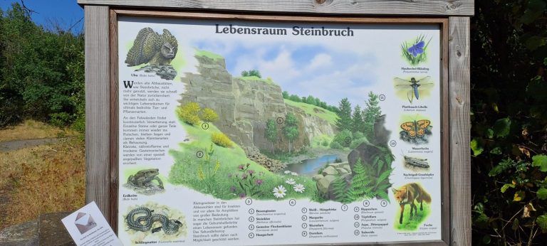 Wandern mit Hans